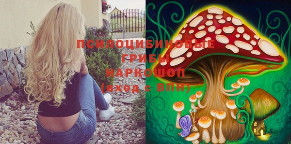 ПСИЛОЦИБИНОВЫЕ ГРИБЫ Алексеевка