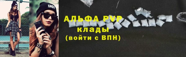 винт Абаза